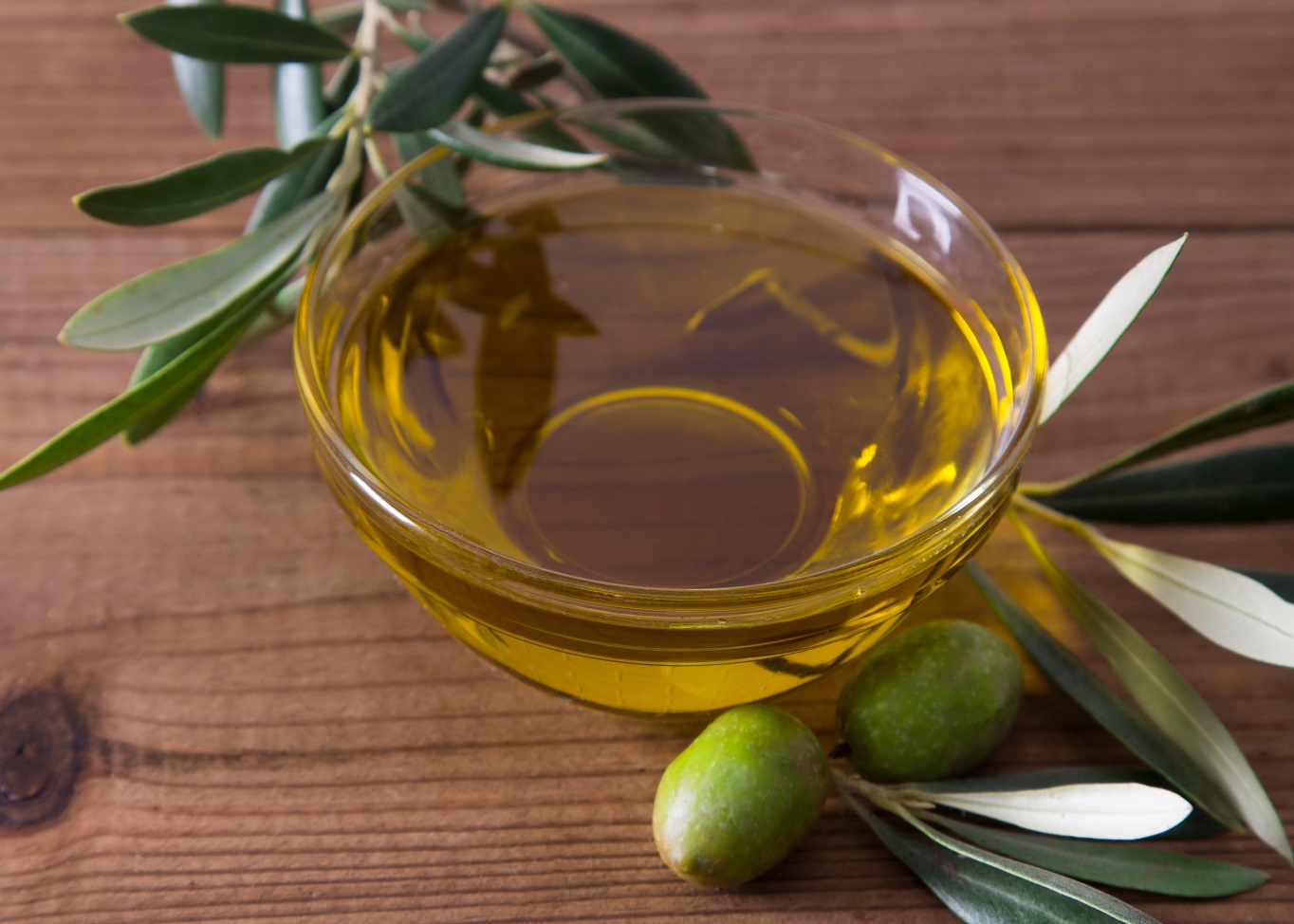 Olive Oil in Therapeutic Nutrition: Integrating Cardiometabolic Benefits With Clinical Evidence