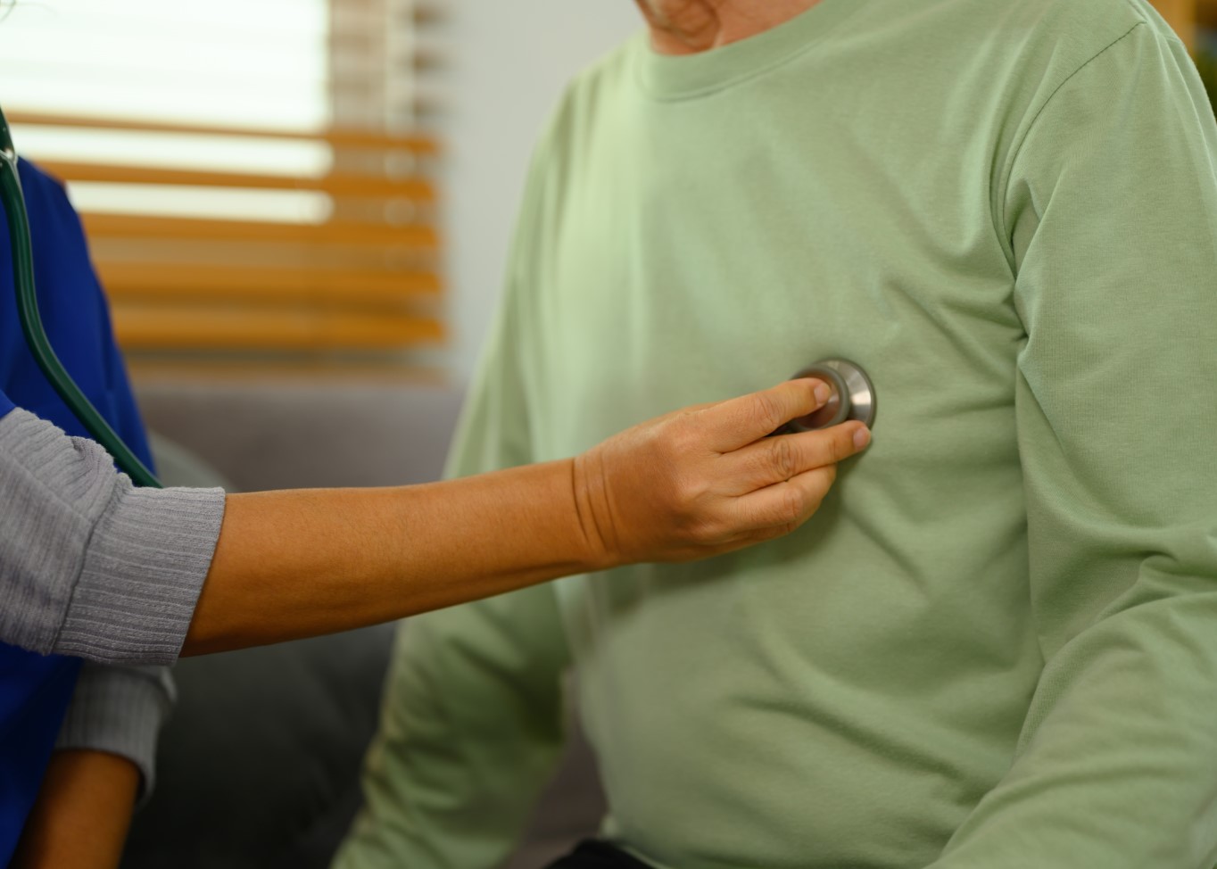 Olive Oil for Healthier Heart and Metabolism: Evidence at a Glance